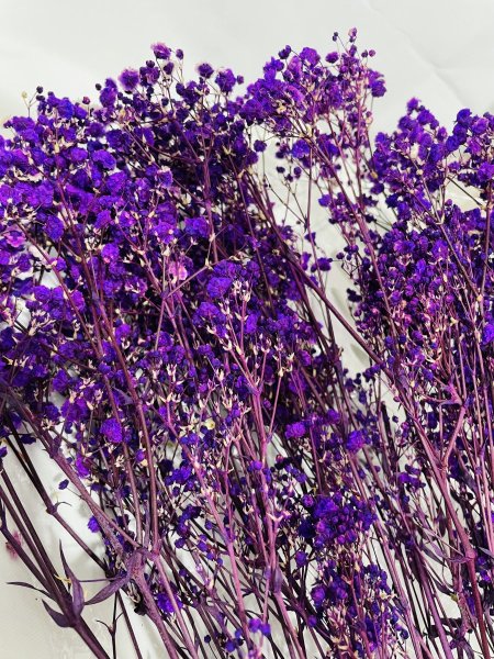 ورد ثلج طبيعي مجفف