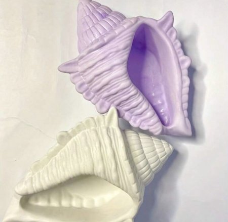 قالب صدفة حجم كبير