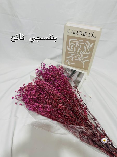 بنفسجي فاتح