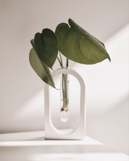 قالب فازة مع أنبولة اكريلك